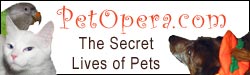 Ever wonder what secret lives your pets live? We did--and what we found makes most soap operas look tame! Explore the tabloid lives of our pets at PetOpera.com!