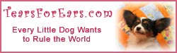 TearsForEars.com : Every Little Dog Wants to Rule the World